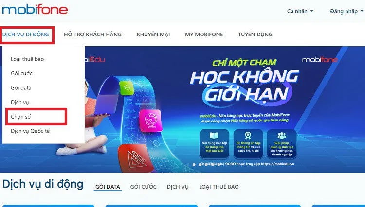 0794 là mạng gì? Có phải là sim số đẹp không? Ý nghĩa phong thuỷ đằng sau đầu số 0794