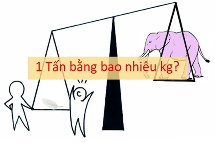 1 tấn bằng bao nhiêu kg, cách chuyển đổi đơn vị đo lường nhanh chóng