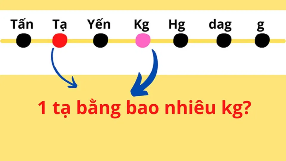 1 tấn bằng bao nhiêu kg, cách chuyển đổi đơn vị đo lường nhanh chóng