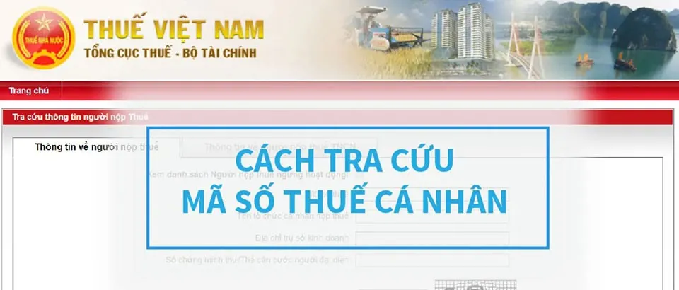 2 cách tra cứu mã số thuế cá nhân chính xác nhất tại Tổng Cục Thuế