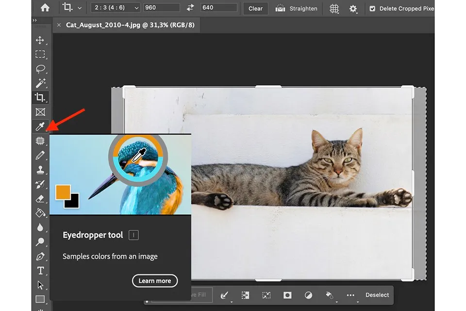 Bảng màu Photoshop và cách lấy màu photoshop đơn giản