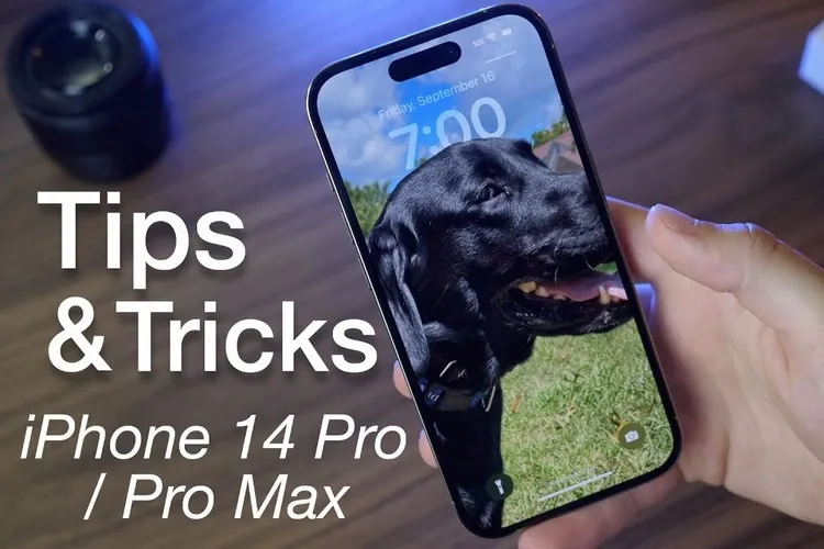 Bật mí cách sử dụng iPhone 14, 14 Pro Max: Hướng dẫn sử dụng chi tiết không thể bỏ qua cho người mới