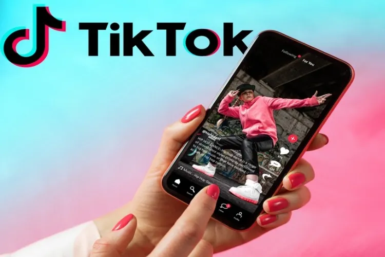 Bật mí top các nguồn video reup Tiktok đa dạng và cực kỳ chất lượng dành cho bạn