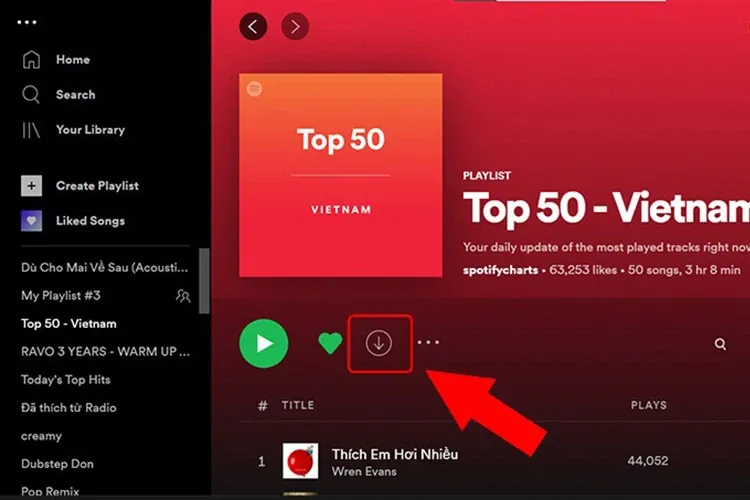 Bí kíp tải nhạc trên Spotify về điện thoại, máy tính để nghe nhạc ngoại tuyến dễ dàng