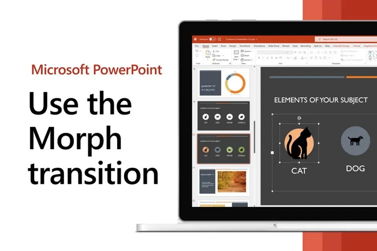 Bí quyết cài và sử dụng hiệu ứng Morph PowerPoint bạn nên biết