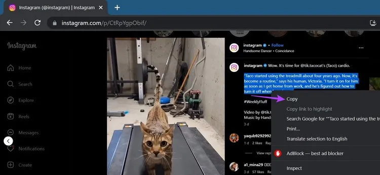 Bí quyết sao chép văn bản từ bài đăng trên Instagram