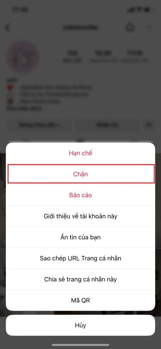 Bỏ túi cách chặn và bỏ chặn Instagram siêu nhanh chóng