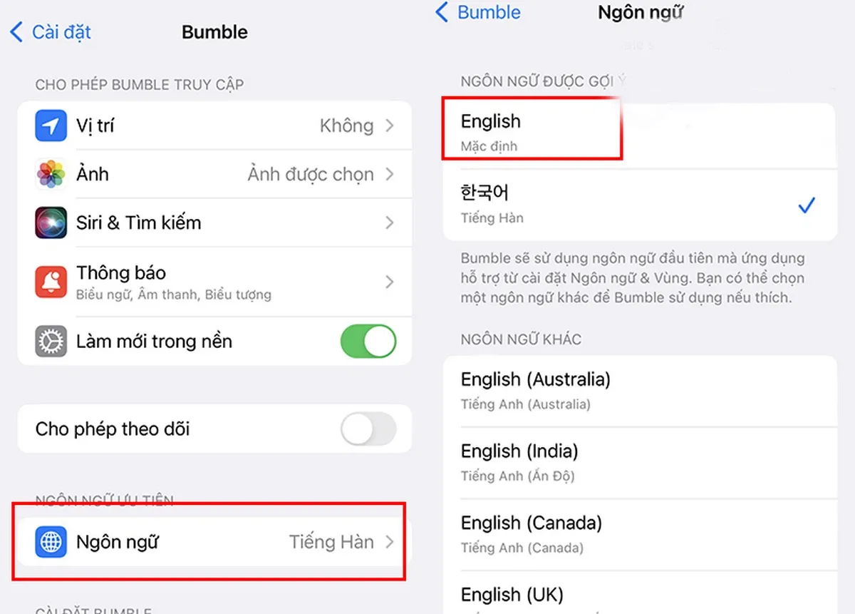 Bumble có tiếng Việt không? Hướng dẫn thay đổi ngôn ngữ trên Bumble đơn giản để thoải mái kết bạn, trò chuyện bốn phương