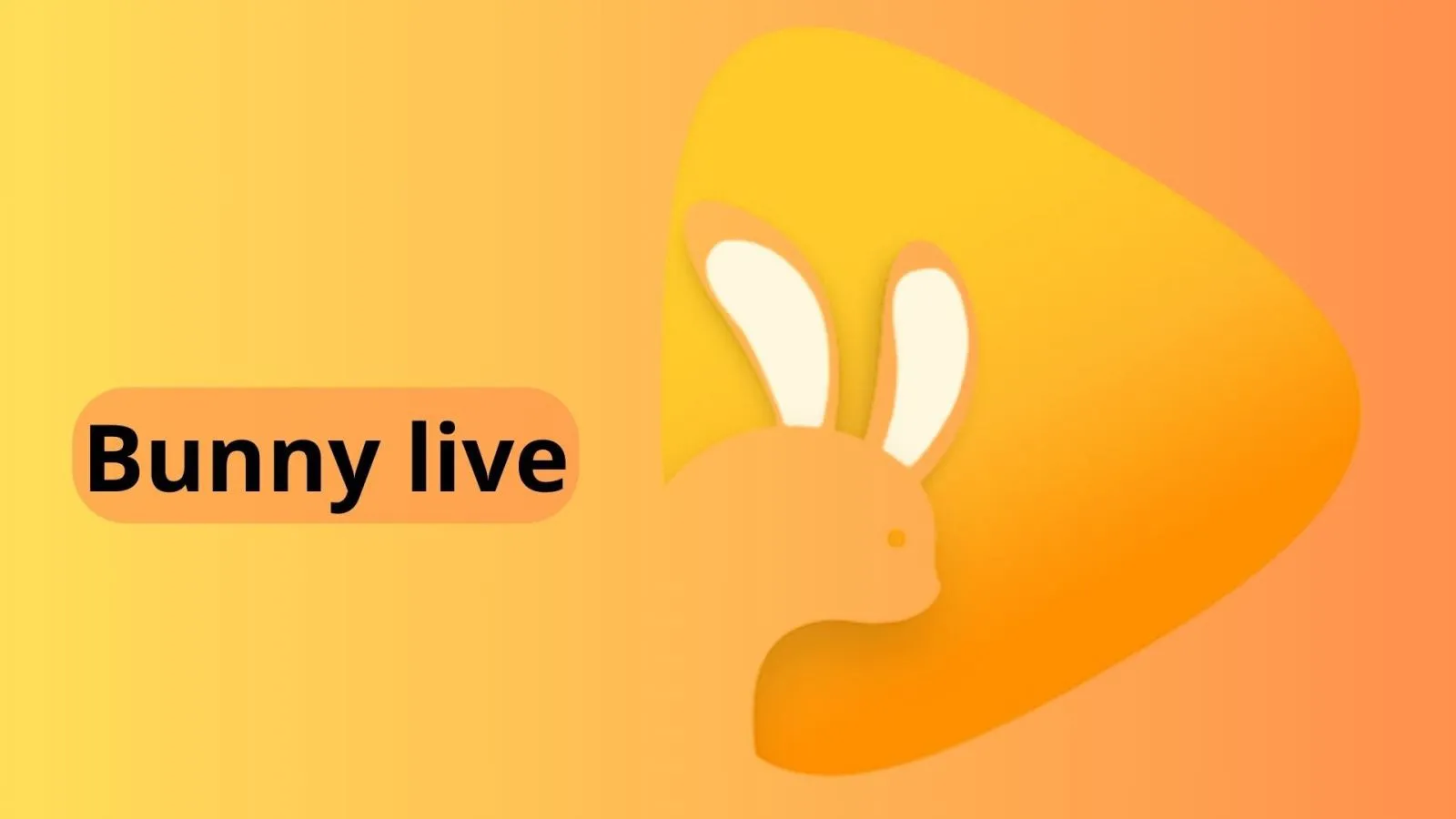 Bunny live là gì? Cách tải Bunny Live về máy tính, điện thoại đơn giản nhất