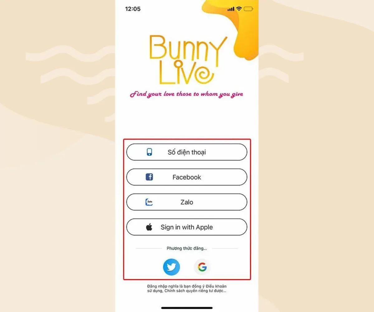 Bunny live là gì? Cách tải Bunny Live về máy tính, điện thoại đơn giản nhất