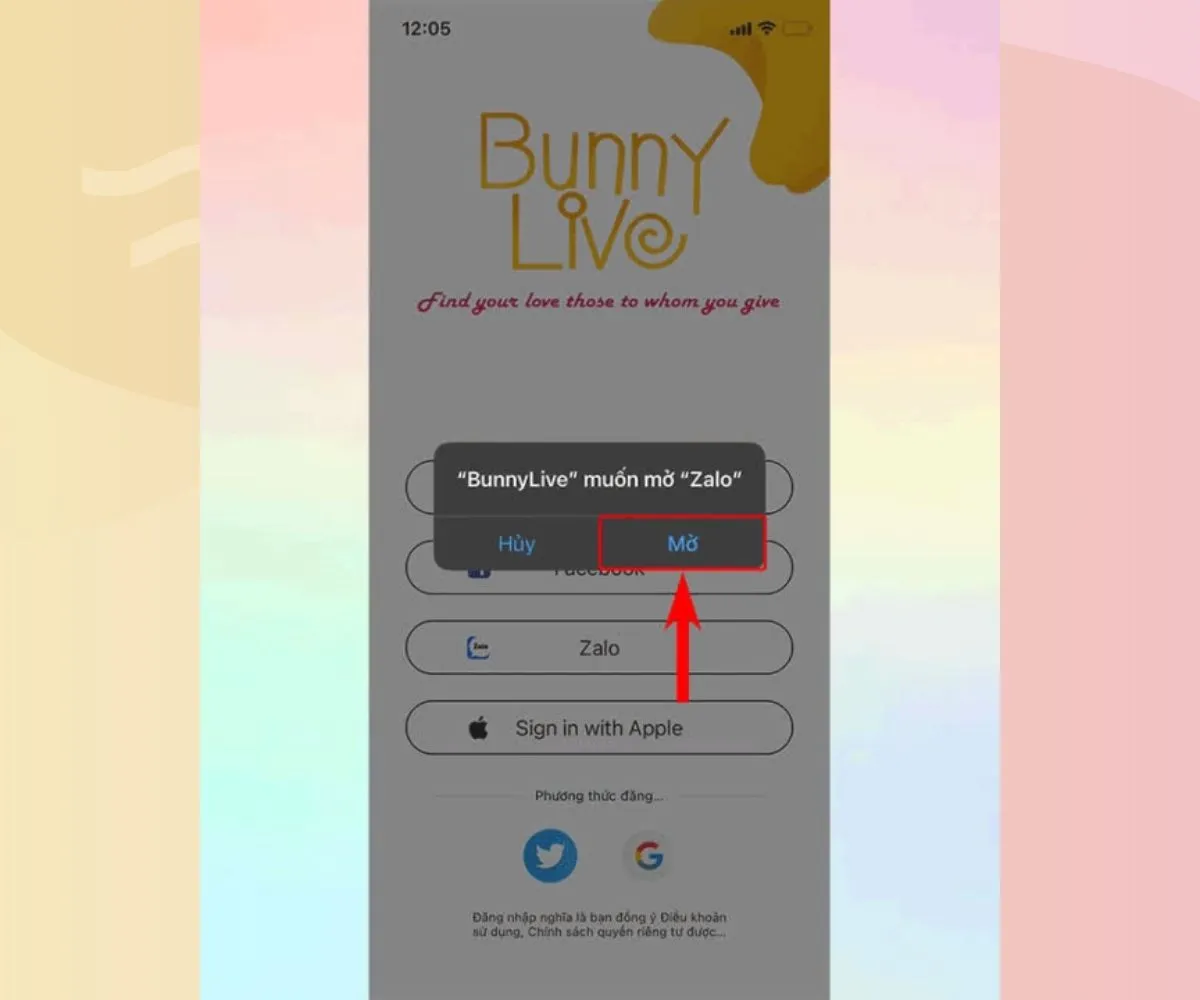 Bunny live là gì? Cách tải Bunny Live về máy tính, điện thoại đơn giản nhất