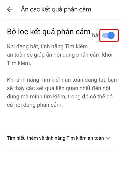 Cách ẩn kết quả phản cảm trên Google đơn giản, nhanh chóng