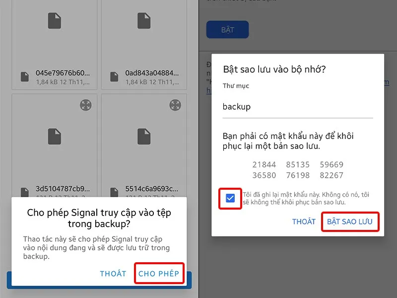 Cách bật sao lưu tin nhắn trên ứng dụng Signal cực dễ