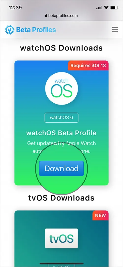 Cách cài đặt watchOS 6 Beta 8 trên Apple Watch