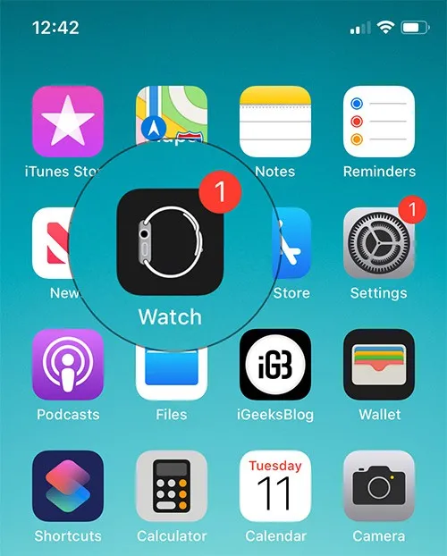 Cách cài đặt watchOS 6 Beta 8 trên Apple Watch