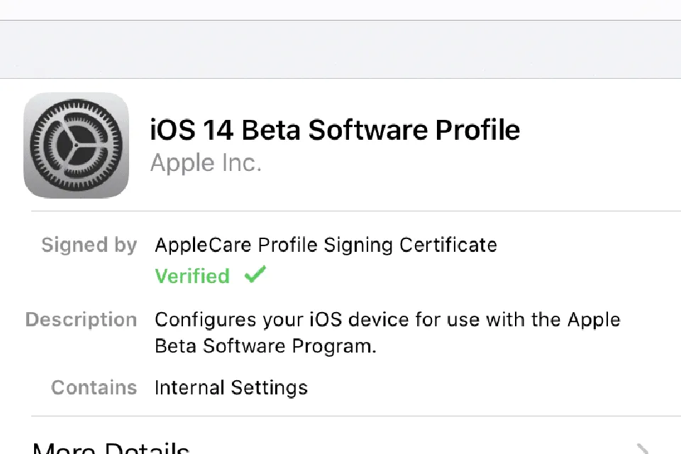 Cách cập nhật iOS 14 beta miễn phí mà không cần tài khoản nhà phát triển