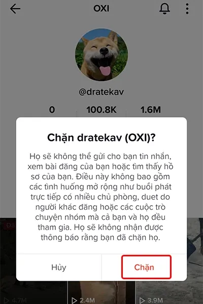 Cách chặn, bỏ chặn người dùng TikTok đơn giản, nhanh chóng