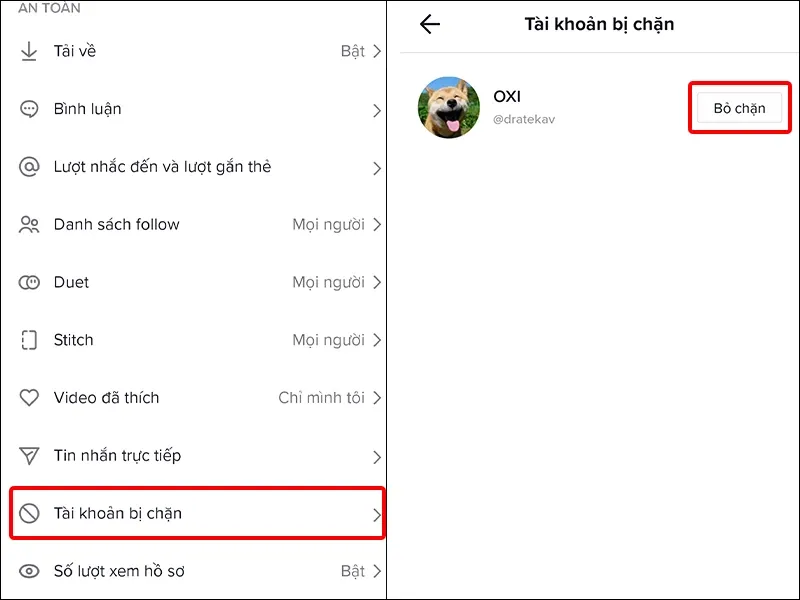 Cách chặn, bỏ chặn người dùng TikTok đơn giản, nhanh chóng