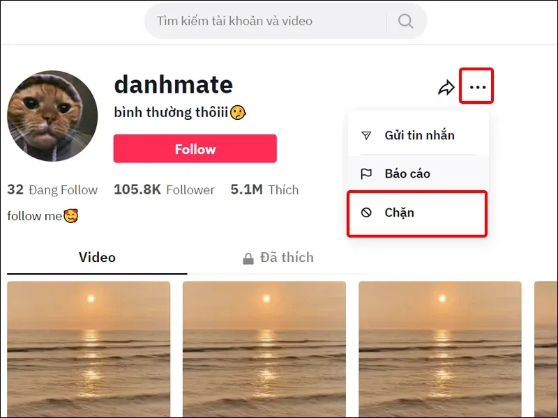Cách chặn, bỏ chặn người dùng TikTok đơn giản, nhanh chóng