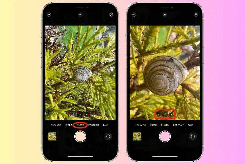 Cách chỉnh camera iPhone 13 Pro Max giúp chụp ảnh xinh lung linh và ấn tượng