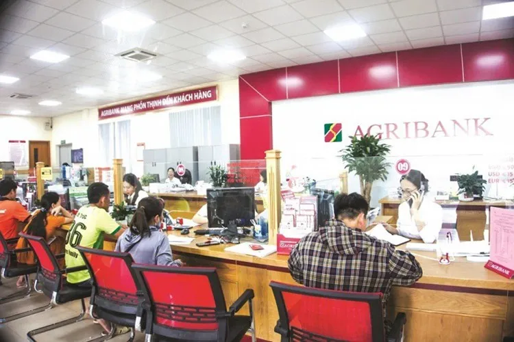 Cách đăng ký SMS Banking Agribank qua điện thoại chi tiết, đơn giản, dễ thực hiện