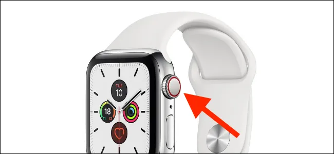 Cách để xác định loại model của Apple Watch