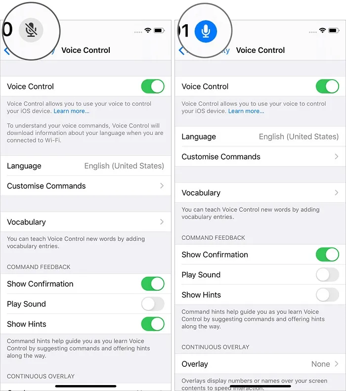 Cách dùng Voice Control trên iPhone