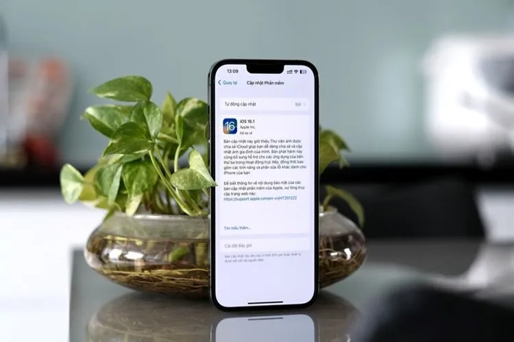 Cách khắc phục hiệu quả 3 lỗi cơ bản mà iOS 16.1 thường gặp