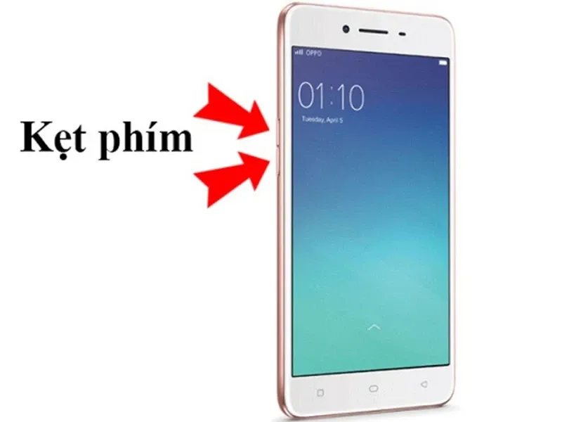 Cách khắc phục tình trạng điện thoại OPPO bị lỗi ColorOS Recovery đơn giản vậy sao?