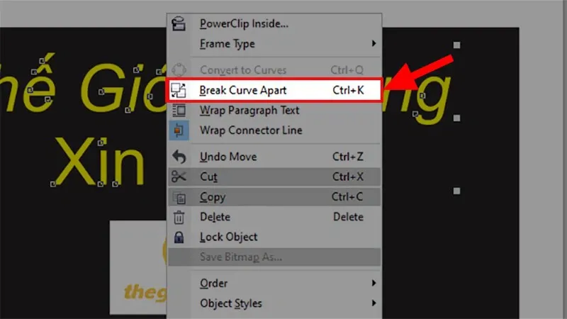 Cách lật ngược ảnh trong Corel chuyên nghiệp nhất