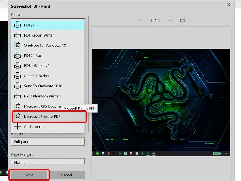 Cách lưu ảnh chụp màn hình bằng file PDF trên Windows 10, 11 cực đơn giản
