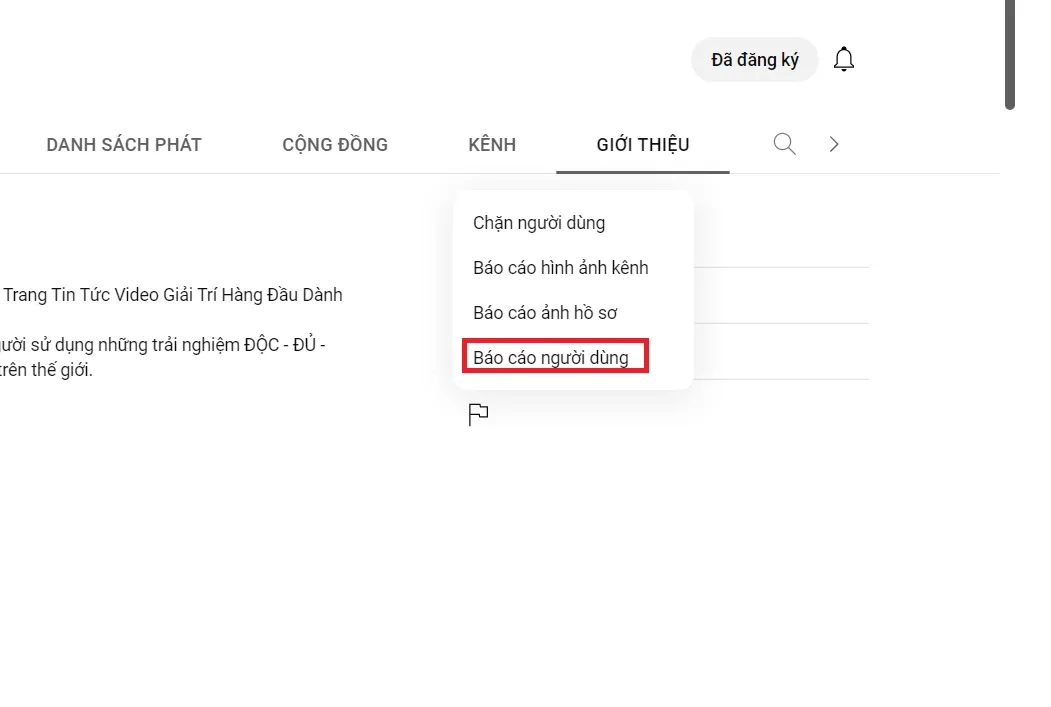 Cách report kênh YouTube chứa nội dung vi phạm nhanh chóng mà bạn cần biết