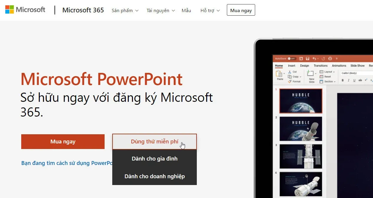 Cách tải PowerPoint trên máy tính và điện thoại cực dễ, người dùng văn phòng không nên bỏ qua