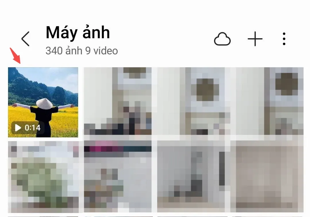 Cách tải video Tiktok không logo mới nhất 2024 trên điện thoại và máy tính