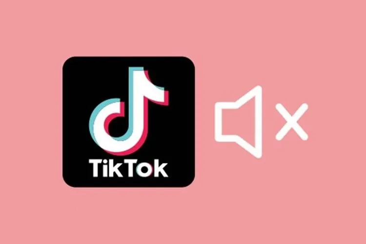 Cách tắt âm thanh khi truy cập vào TikTok đang xem một video siêu đơn giản