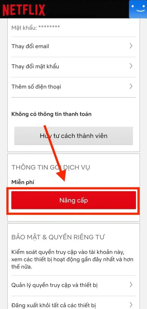 Cách thanh toán Netflix qua MoMo cực tiện lợi và nhanh chóng