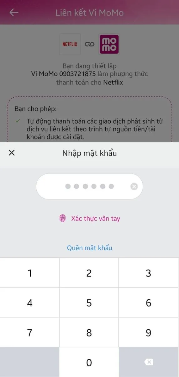 Cách thanh toán Netflix qua MoMo cực tiện lợi và nhanh chóng