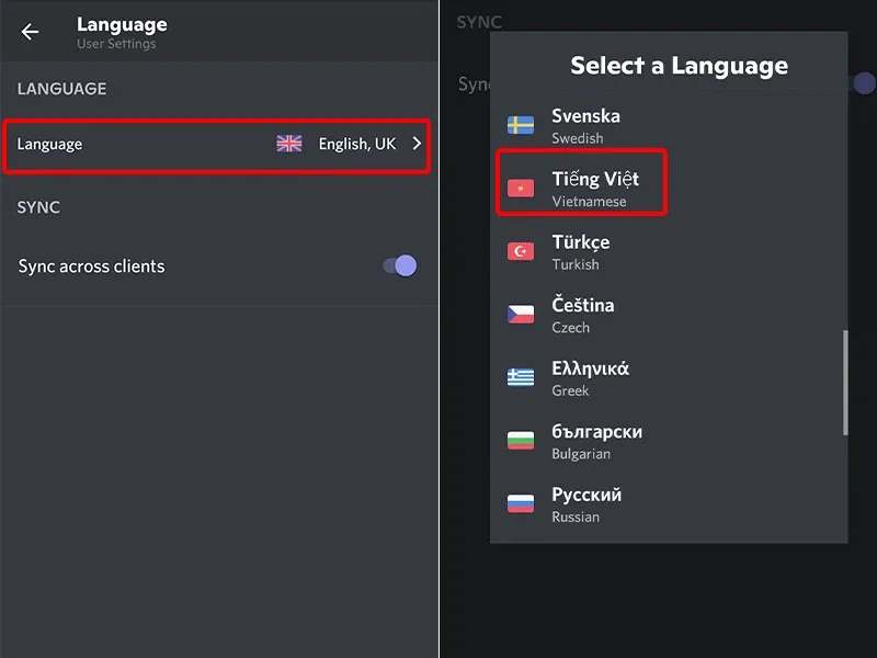 Cách thay đổi ngôn ngữ Discord sang tiếng Việt cực đơn giản