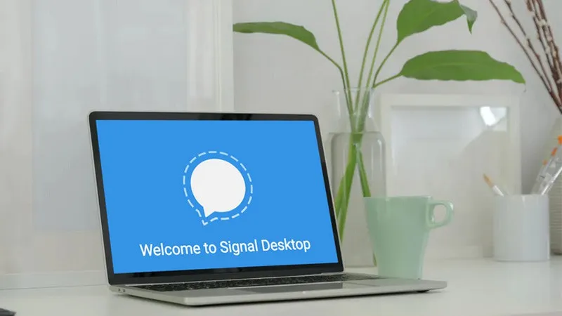 Cách thay đổi ngôn ngữ trên ứng dụng Signal đơn giản, nhanh chóng