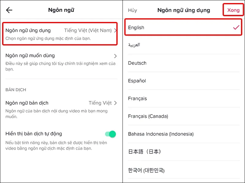 Cách thay đổi ngôn ngữ ứng dụng TikTok cực nhanh