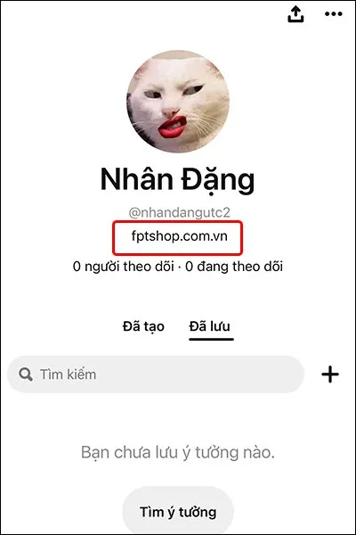 Cách thêm trang web vào hồ sơ cá nhân trên Pinterest siêu đơn giản