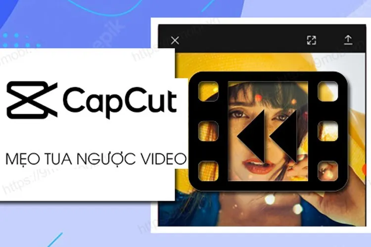 Cách tua ngược video trên Capcut chỉ trong vài nốt nhạc