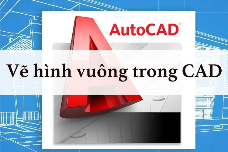 Cách vẽ hình vuông trong CAD bằng lệnh Polygon chuẩn xác nhất 2023