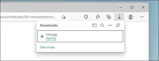 Cách xem và xóa lịch sử tải xuống trong Microsoft Edge