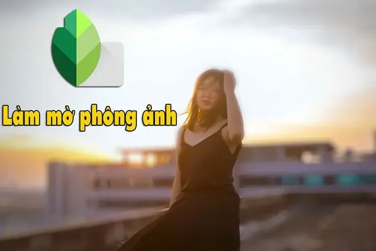 Cách xóa phông bằng Snapseed trên điện thoại đơn giản