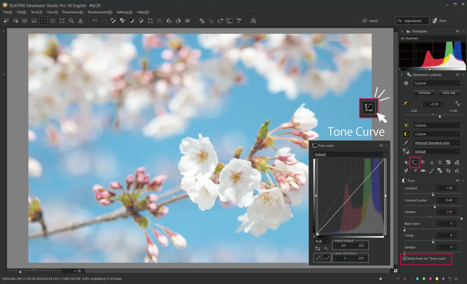 Camera Raw Photoshop là gì? Cách dùng công cụ chỉnh sửa ảnh này siêu dễ và hiệu quả