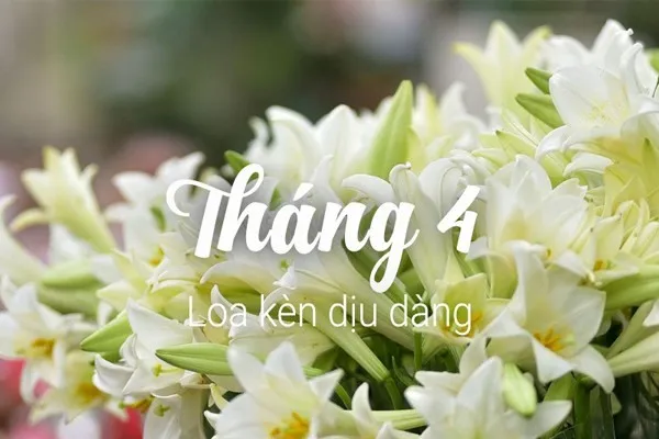 Câu nói hay chào tháng 4, STT tháng 4 ấn tượng, ý nghĩa, nhức nhối lòng người đọc