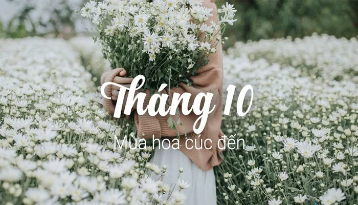 Câu nói hay, STT tháng 10 đong đầy yêu thương, ý nghĩa và ngập tràn sự ấm áp