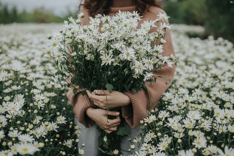 Câu nói hay, STT tháng 10 đong đầy yêu thương, ý nghĩa và ngập tràn sự ấm áp