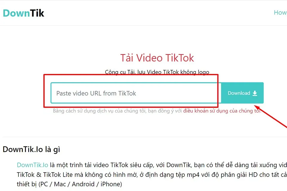 Chi tiết 6 cách tải video TikTok trên máy tính đơn giản, nhanh chóng và hiệu quả